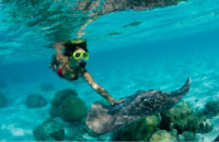 Diving tour